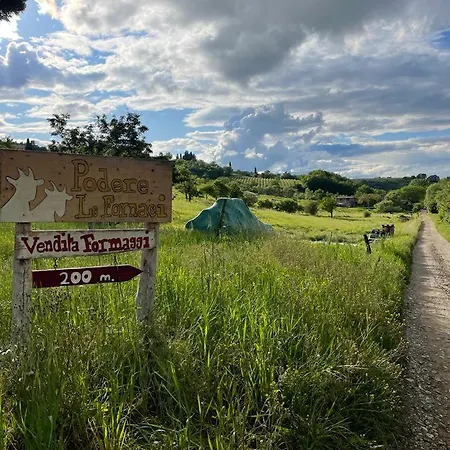 Podere Le Fornaci Greve in Chianti